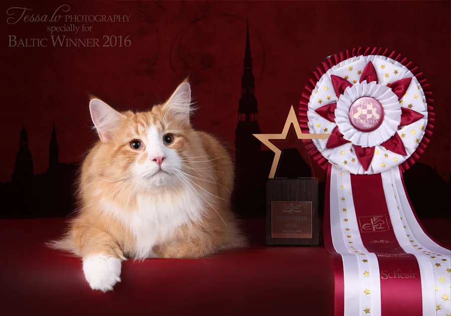 Freddy Baltic Winner 2016