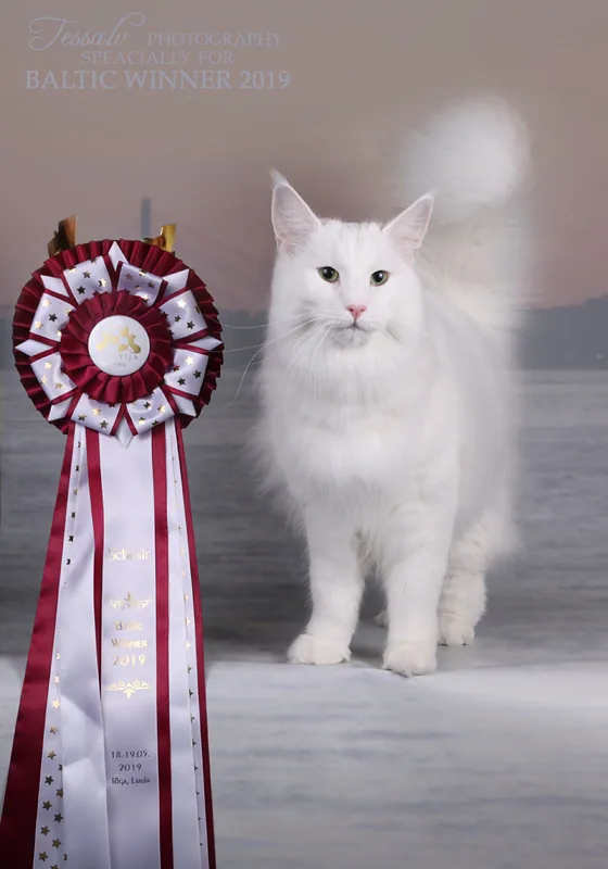 Ingrid Baltic Winner 2019