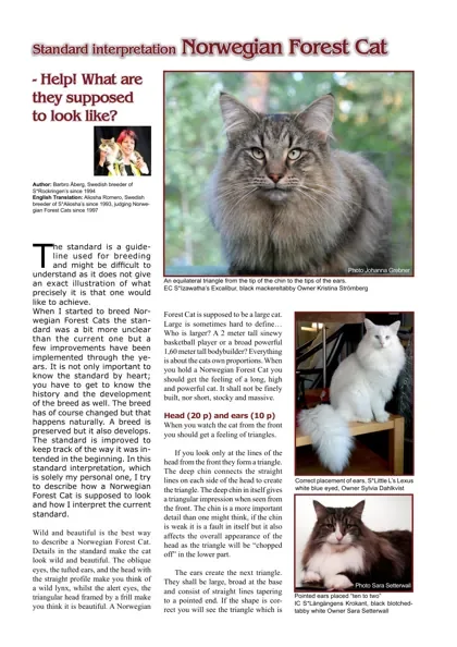 Standard interpretation: Norwegian Forest Cat
