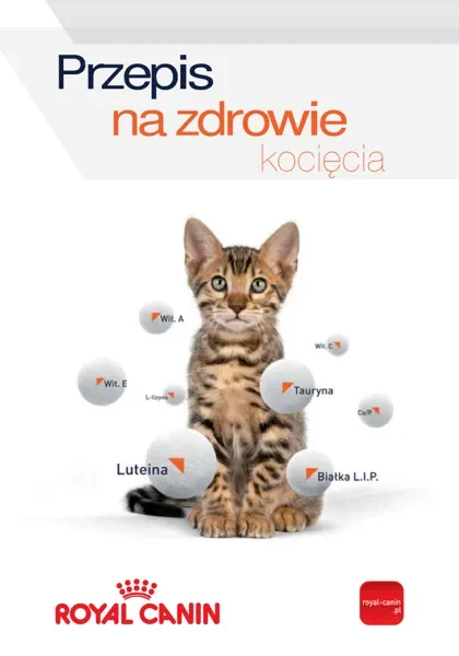 Przepis na zdrowie kocięcia