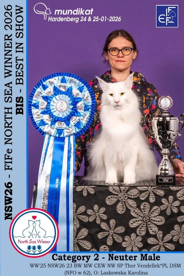 Thor North Sea Winner 2026