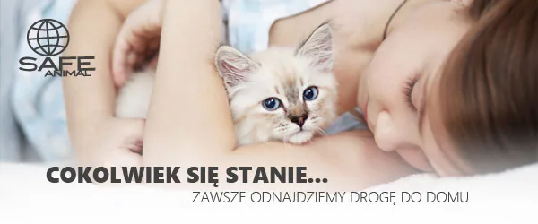 Safe Animal