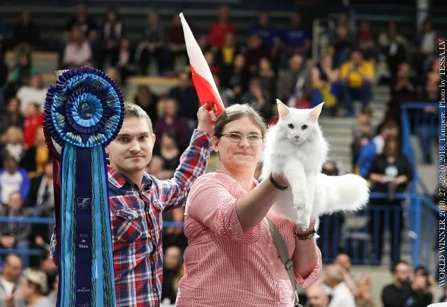 Wręczenie tytułu World Winner na wystawie światowej FIFe w Tampere (2018)